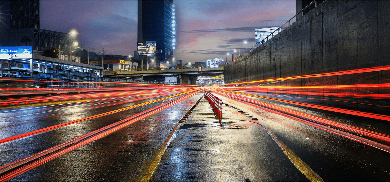 The Importance of Organic Traffic in Website Valuation